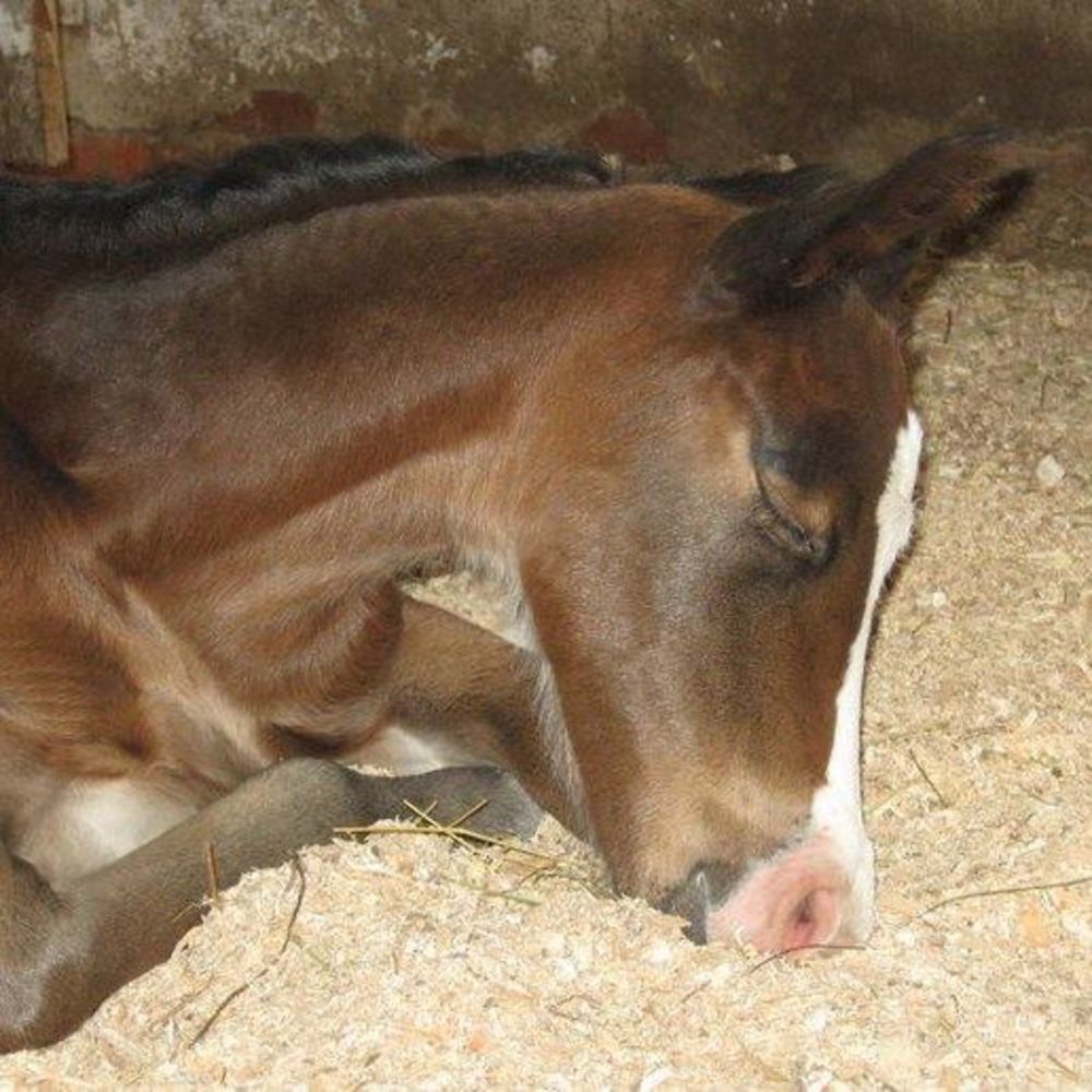 Meet your Posher, Terri